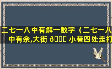 二七一八中有解一数字（二七一八中有余,大街 🍁 小巷四处走打一肖）